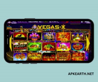 What is Vegas X?